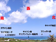 �T�C�p�����C�u�J�����Ō����镗�i